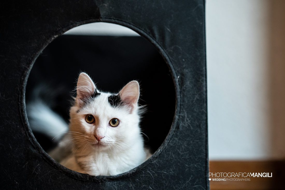 005 ritratto sposa preparativi foto matrimonio sondrio 2 005 ritratto sposa preparativi foto matrimonio sondrio 2