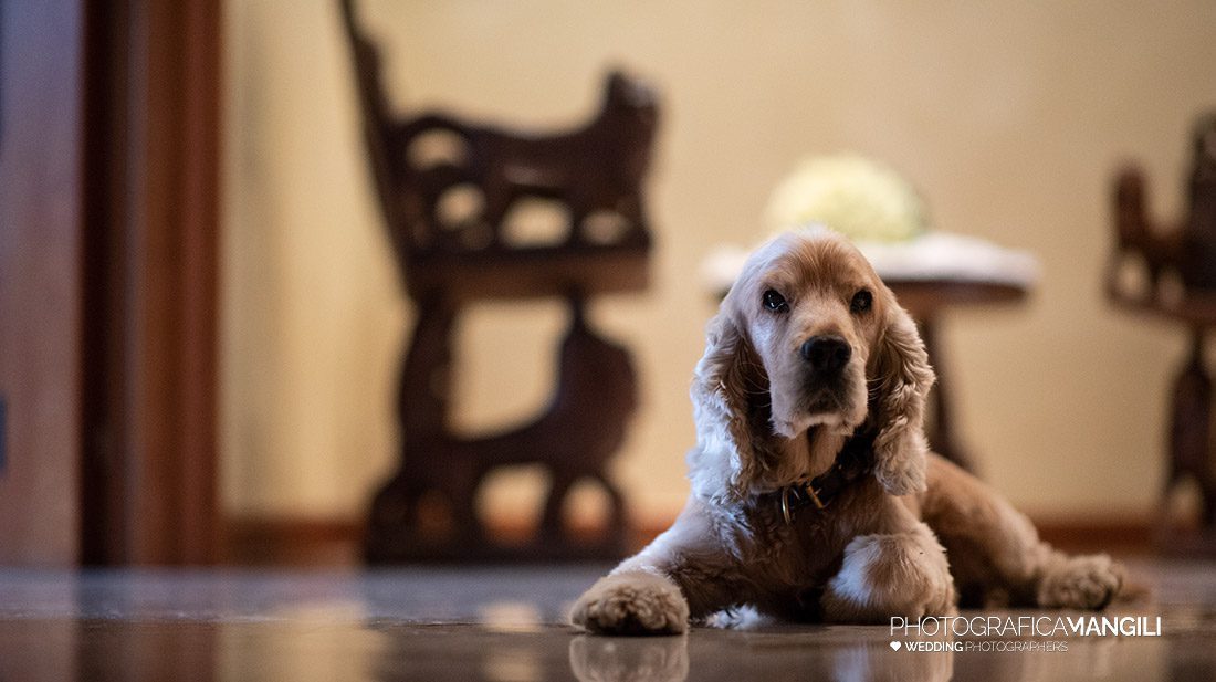 014 foto matrimonio villa orsini colonna antonella e matteo photografica mangili 014 foto matrimonio villa orsini colonna antonella e matteo photografica mangili