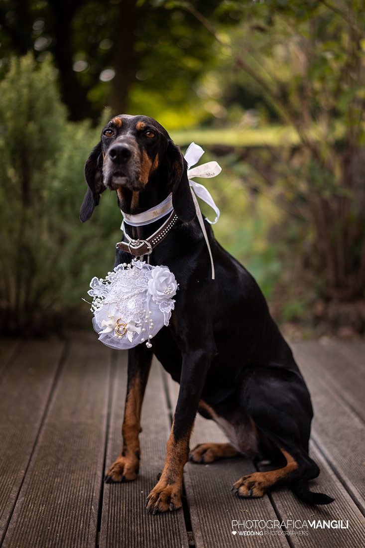 024 foto matrimonio relais franciacorta annkathrine e lucas photografica mangili 024 foto matrimonio relais franciacorta annkathrine e lucas photografica mangili