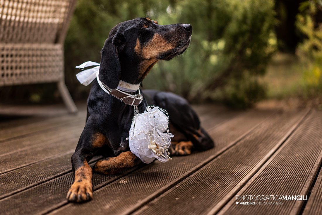 025 foto matrimonio relais franciacorta annkathrine e lucas photografica mangili 025 foto matrimonio relais franciacorta annkathrine e lucas photografica mangili