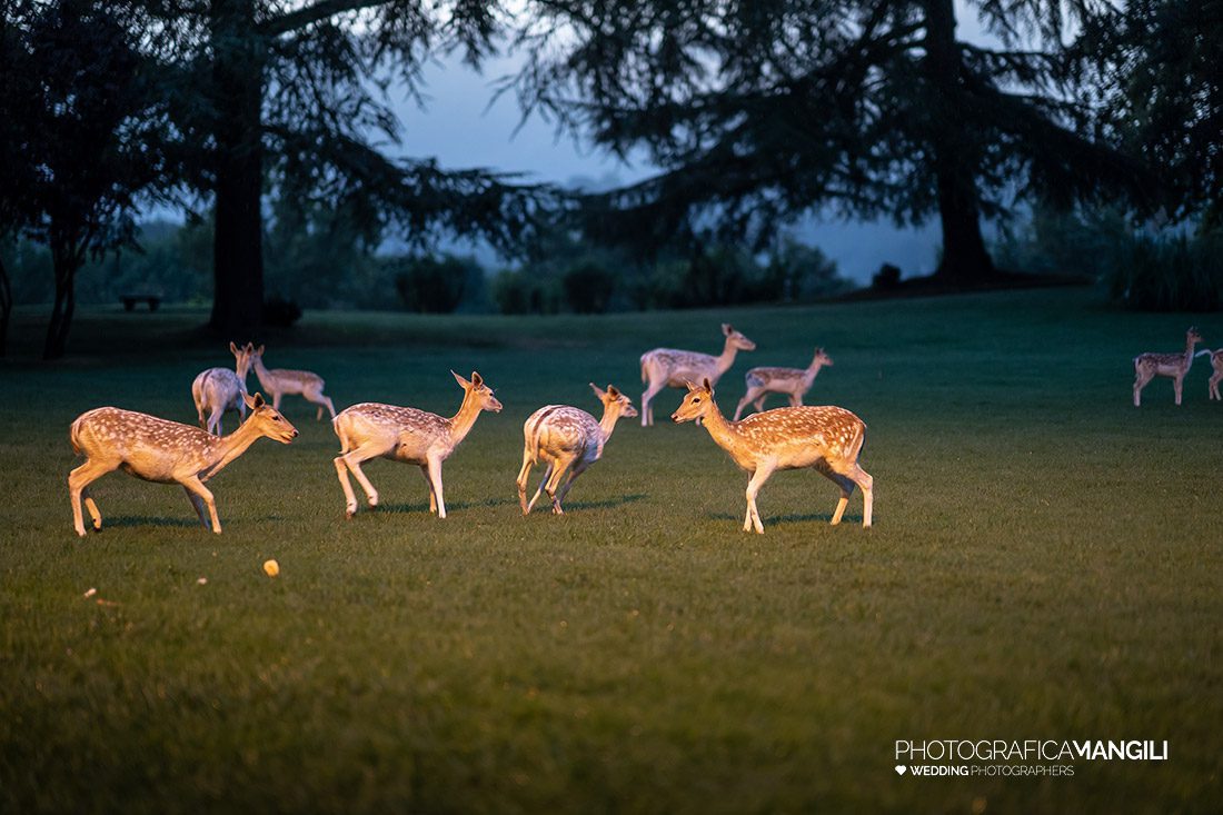 068 foto matrimonio in villa orsini colonna imbersago tania e andrea photografica mangili 068 foto matrimonio in villa orsini colonna imbersago tania e andrea photografica mangili