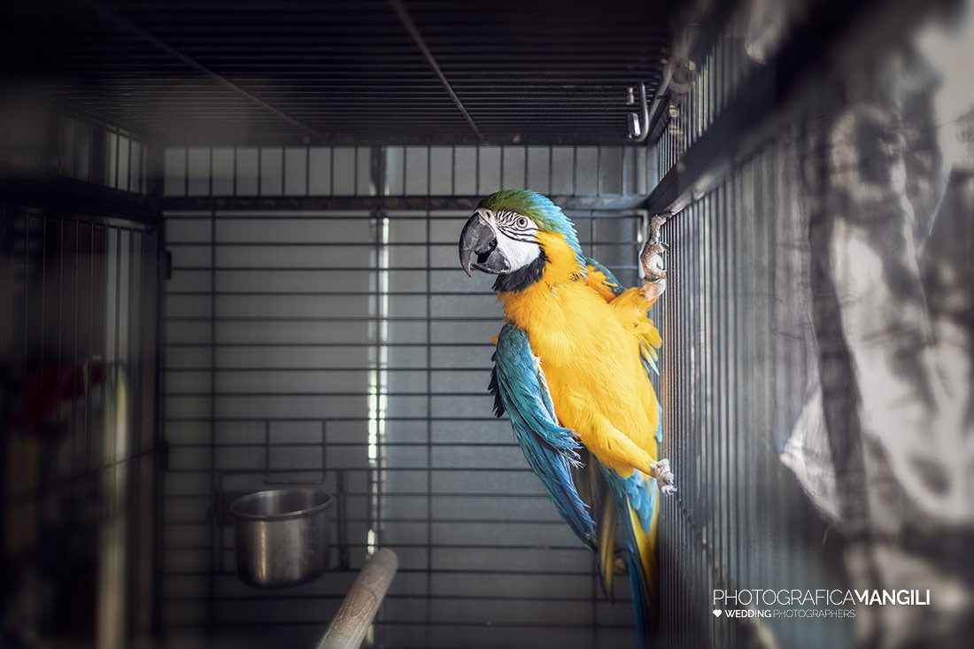 002 reportage preparativi sposo foto matrimonio wedding locate varesino como 002 reportage preparativi sposo foto matrimonio wedding locate varesino como