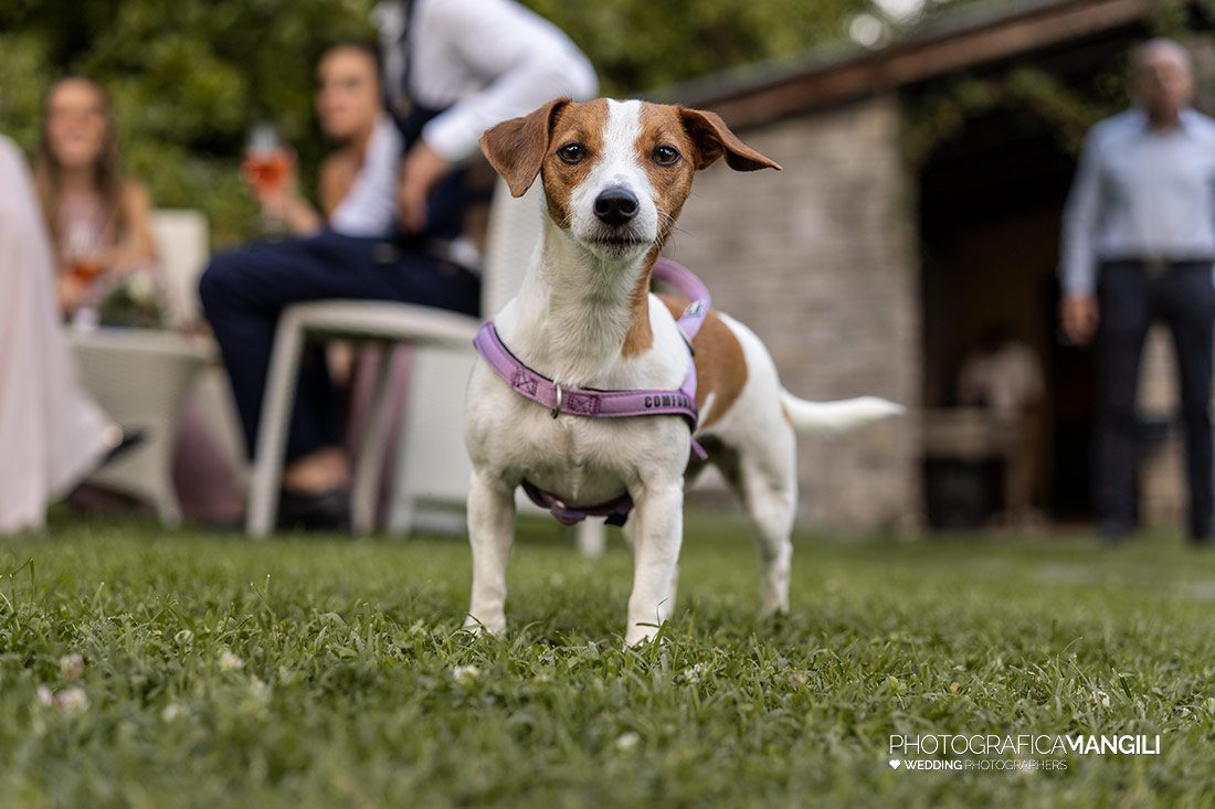 067 reportage wedding sposi foto matrimonio villa paradeisos varese 067 reportage wedding sposi foto matrimonio villa paradeisos varese