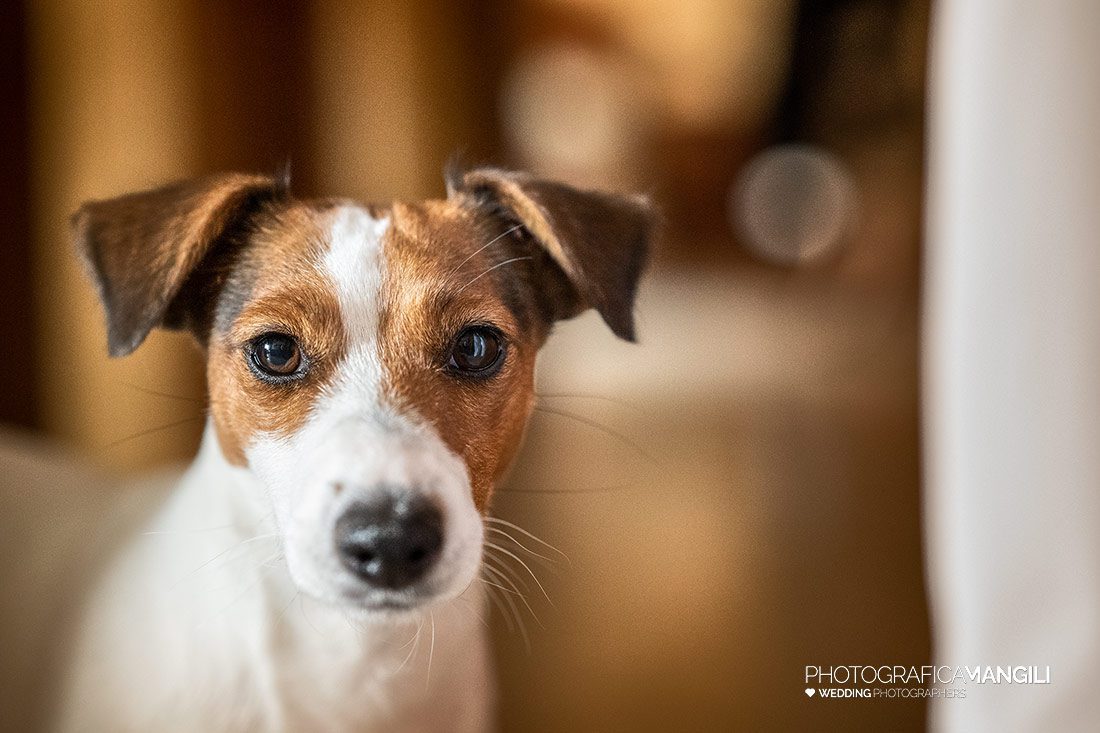 003 reportage preparativi sposo foto matrimonio wedding terno isola bergamo 003 reportage preparativi sposo foto matrimonio wedding terno isola bergamo