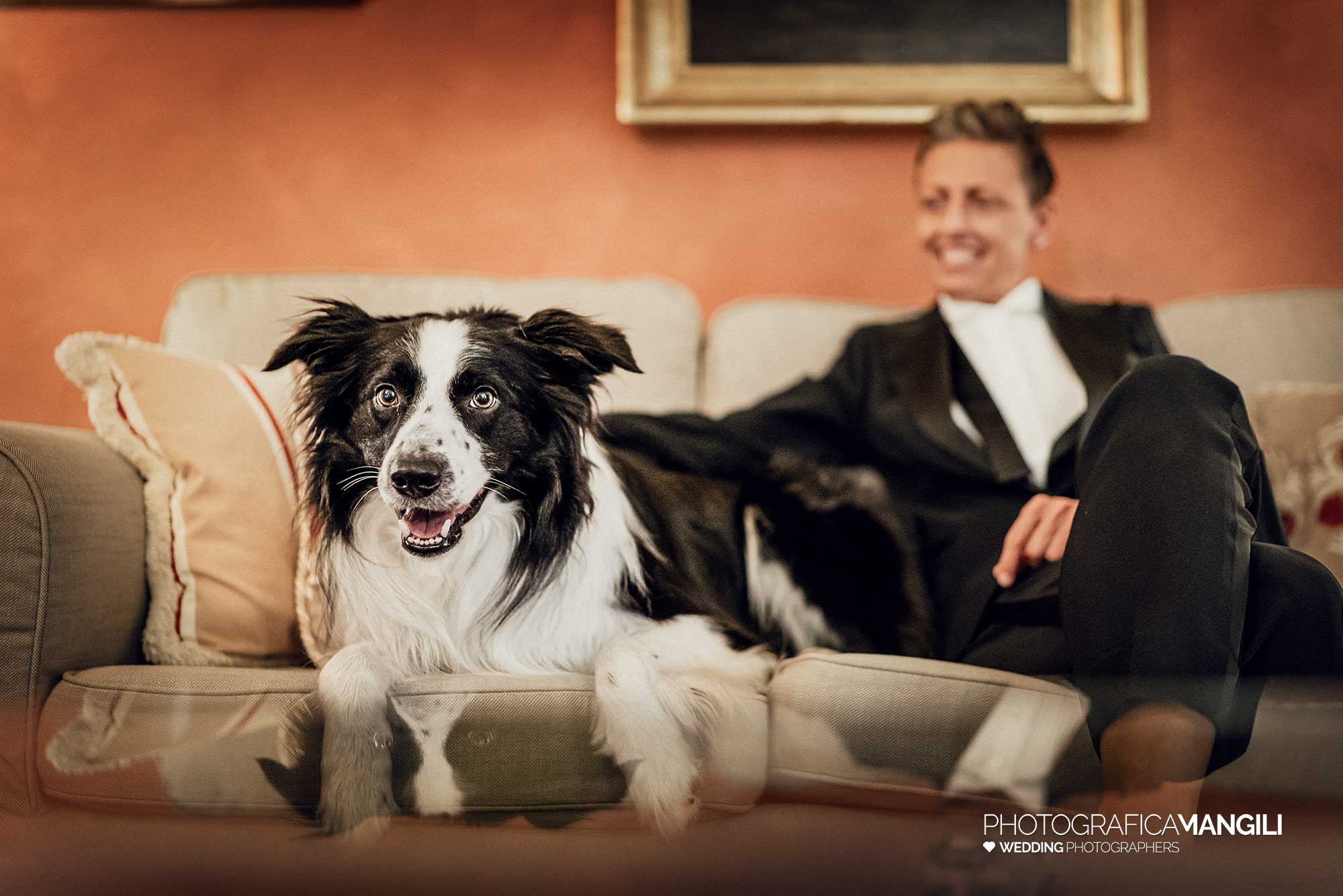 004 preparativi sposi cane foto matrimonio lecco castello rossino 004 preparativi sposi cane foto matrimonio lecco castello rossino