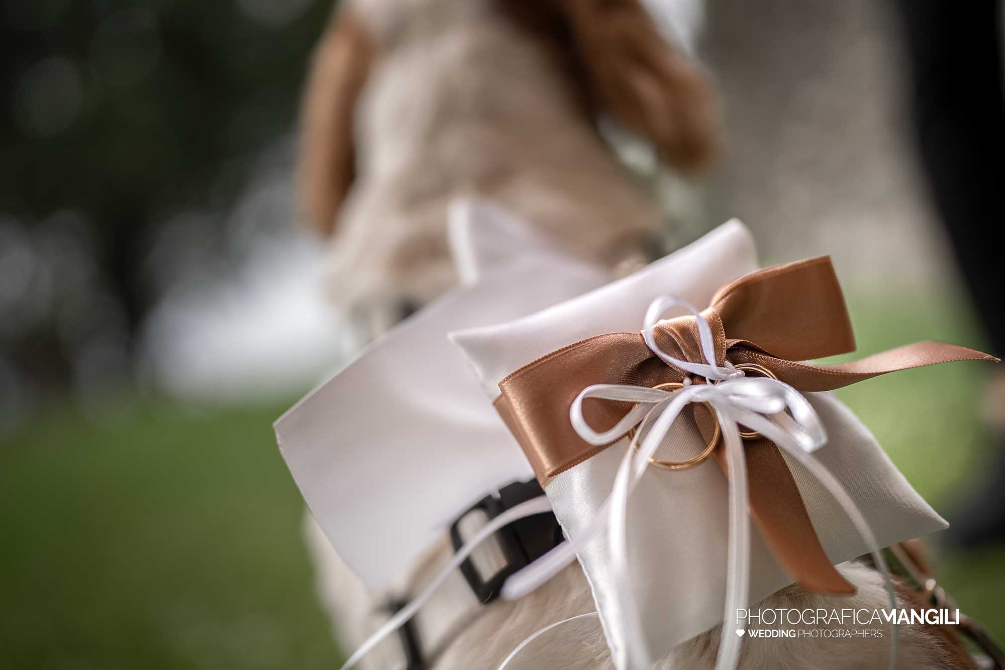 019 fotografo matrimonio reportage wedding sposi cerimonia rito civile anelli castello rossino calolziocorte lago como lecco 019 fotografo matrimonio reportage wedding sposi cerimonia rito civile anelli castello rossino calolziocorte lago como lecco