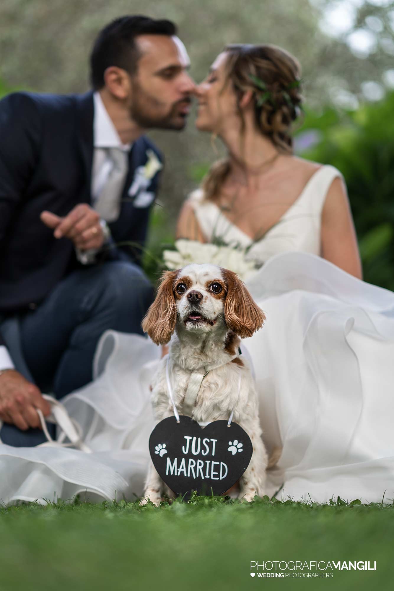 029 fotografo matrimonio reportage wedding sposi ritratto cane castello rossino calolziocorte lago como lecco 029 fotografo matrimonio reportage wedding sposi ritratto cane castello rossino calolziocorte lago como lecco