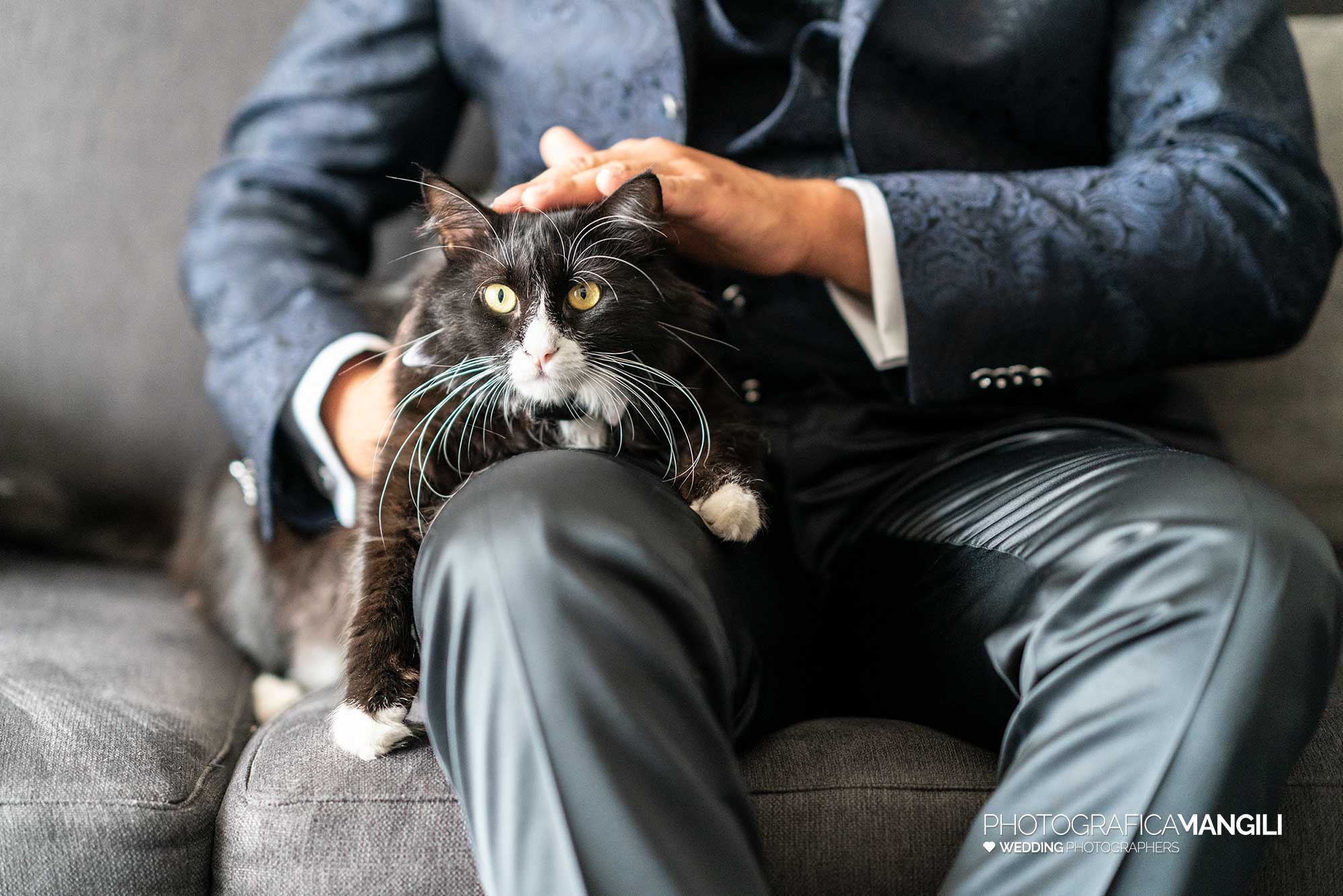 004 fotografo matrimonio reportage wedding preparativi vestizione sposo ritratto gatto muggiò monza brianza 004 fotografo matrimonio reportage wedding preparativi vestizione sposo ritratto gatto muggiò monza brianza
