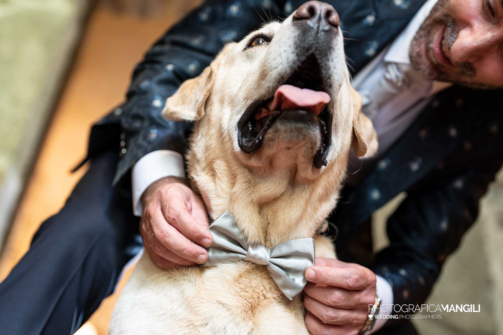 006 fotografo matrimonio reportage wedding migliore amico cane sposo ritratto castello rossino calolziocorte lecco lago como 006 fotografo matrimonio reportage wedding migliore amico cane sposo ritratto castello rossino calolziocorte lecco lago como