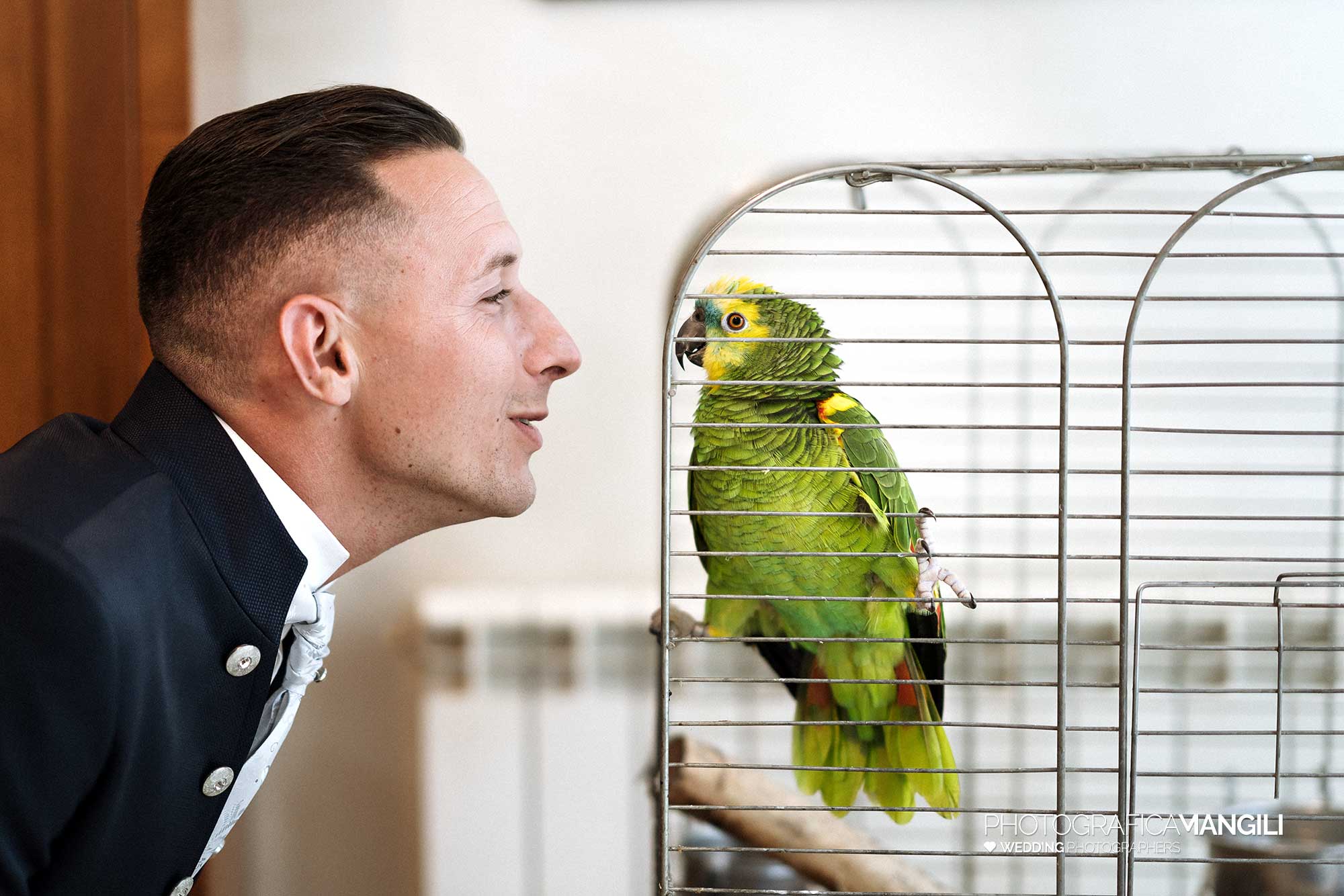 007 reportage foto matrimonio wedding ritratto pappagallo sposo vestizione preparativi cinisello balsamo milano 1 007 reportage foto matrimonio wedding ritratto pappagallo sposo vestizione preparativi cinisello balsamo milano 1