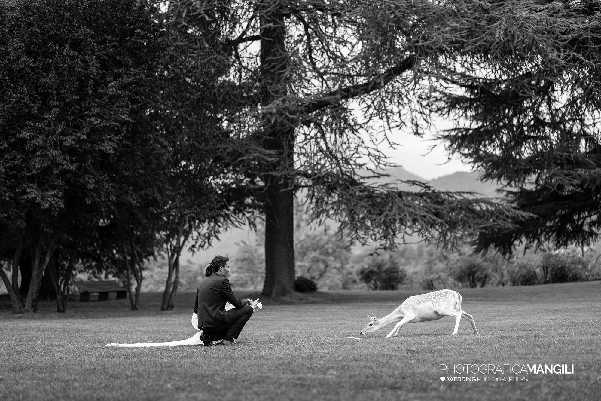 059 reportage foto matrimonio wedding ritratto sposi cerbiatto villa orsini colonna imbersago lecco 059 reportage foto matrimonio wedding ritratto sposi cerbiatto villa orsini colonna imbersago lecco