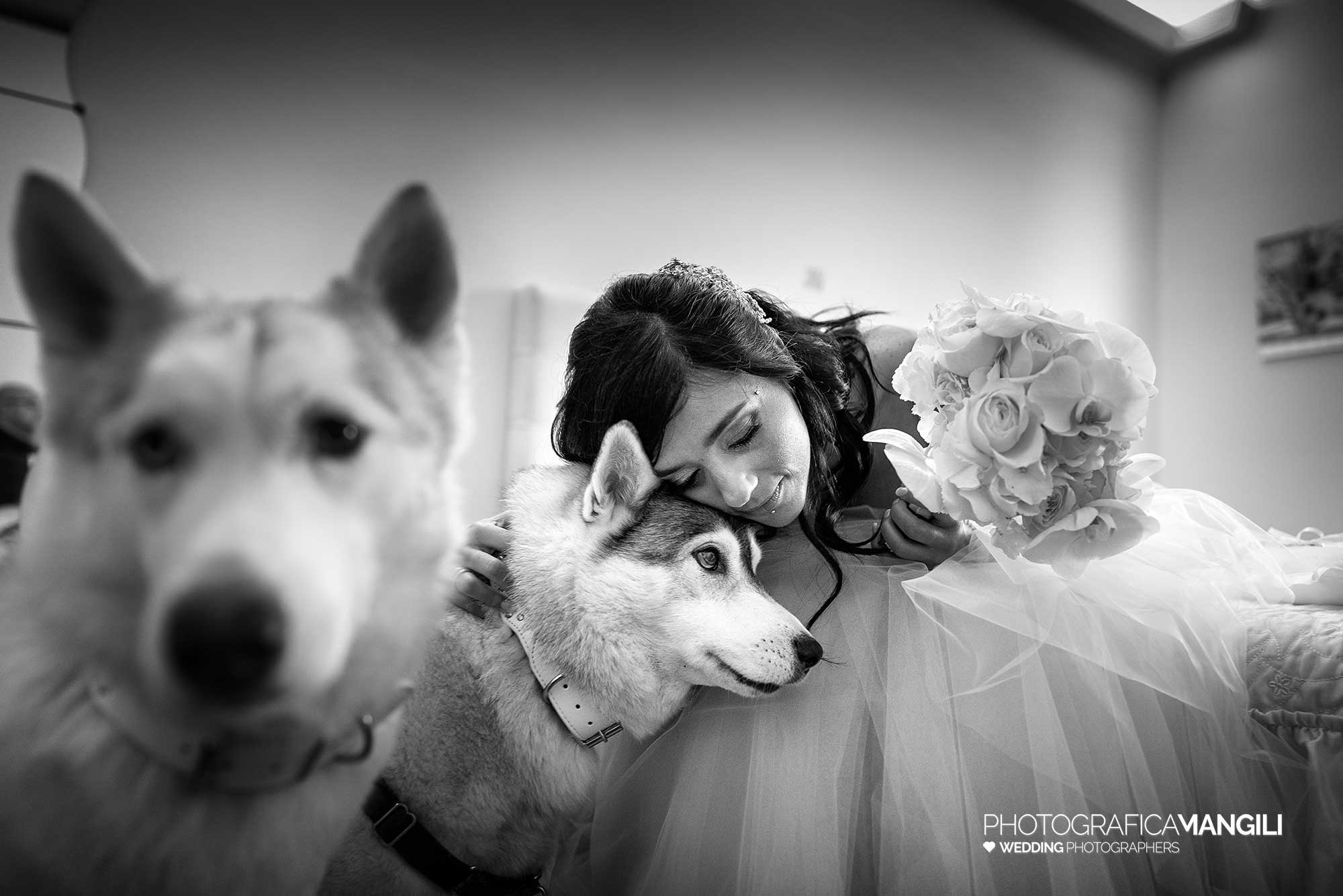 037 bride dogs artistic italian wedding photographer 1 037 bride dogs artistic italian wedding photographer 1