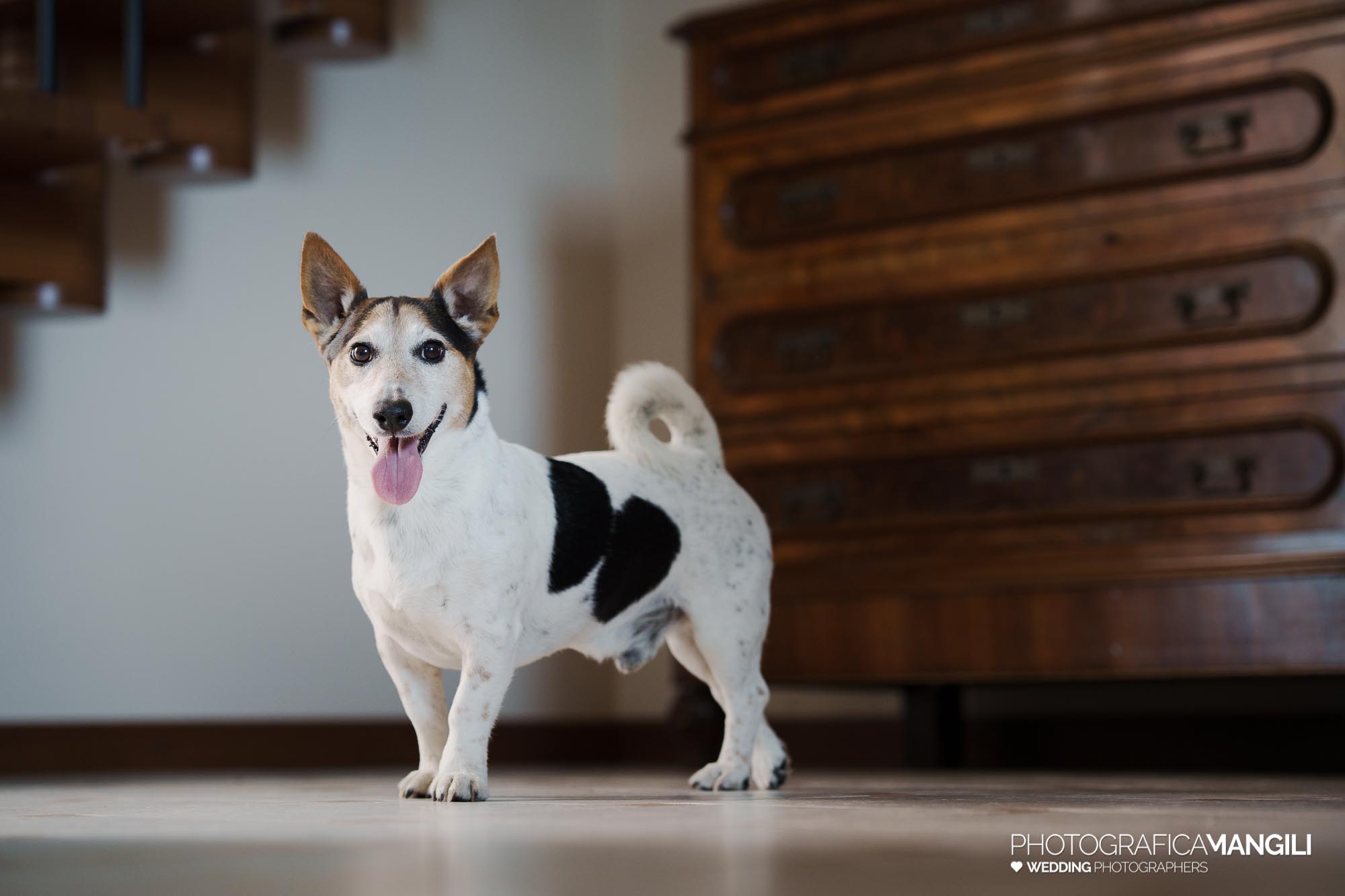 foto matrimonio lecco castello rossino federica luca 005