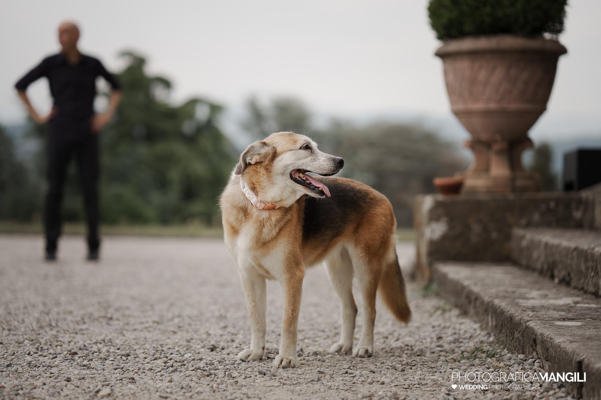 foto matrimonio villa lattuada lecco chiara federico 035