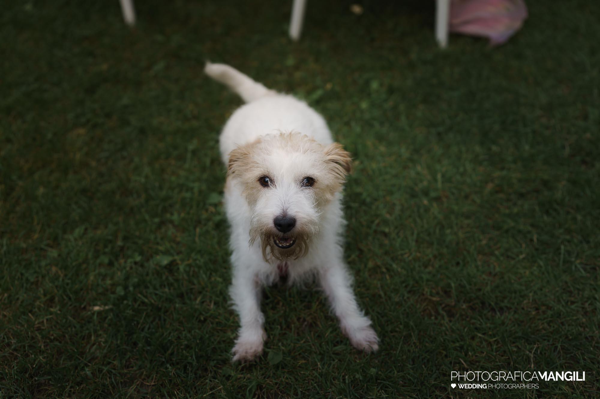 fotografo matrimonio castello di rossino lago di como roberta alessandro 050 roberta e alessandro,Foto matrimonio di Roberta e Alessandro