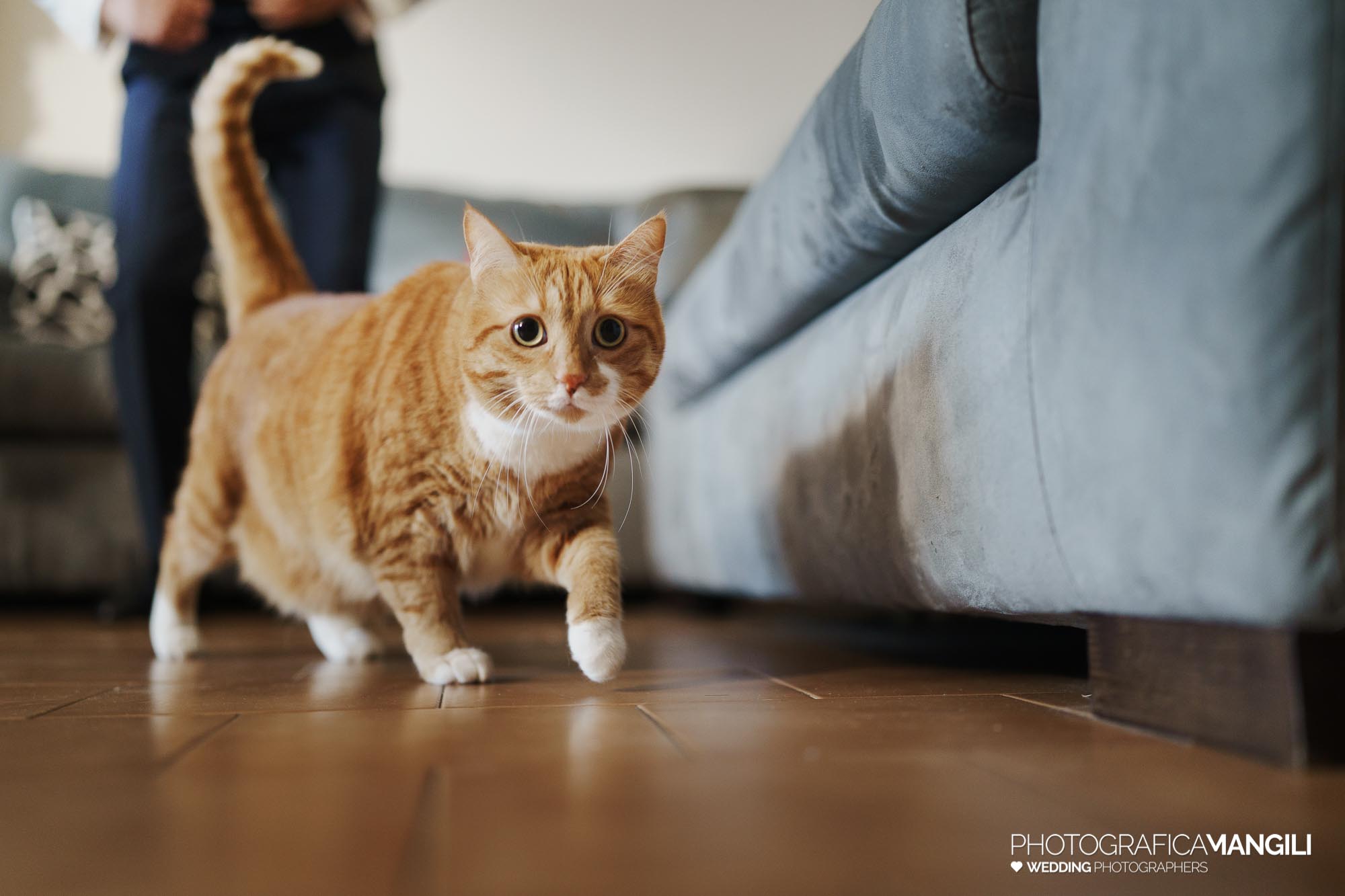 fotografo matrimonio villa acquaroli gloria rocco 001