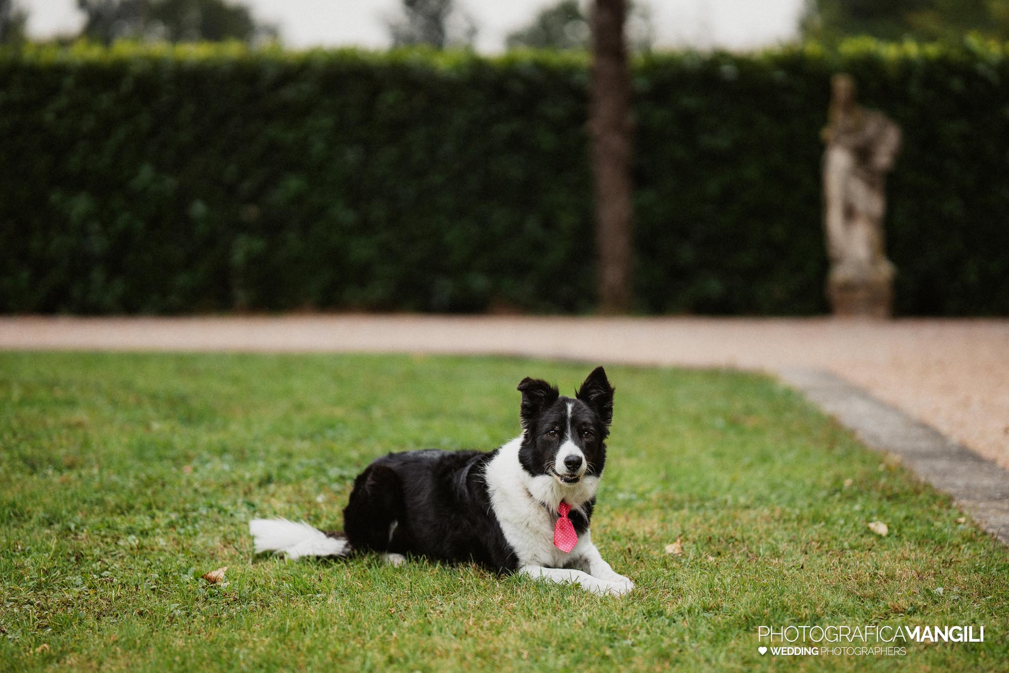 foto matrimonio villa martinelli mapello patrizia matteo 088